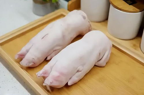 家养的猪和饲料猪的猪蹄子有什么显著区别？