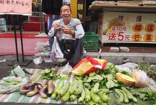 西瓜视频：闽南农民冬天的种植生活