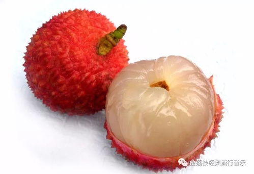 荔枝干高效加工技术揭秘，提升花卉保鲜品质