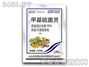它们的主要区别在哪里？