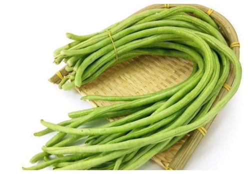 五、 豆角：营养丰富，家常菜必备