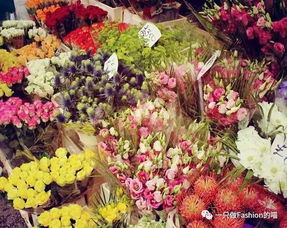 “花卉基地欢迎您，如何挑选心仪的花朵