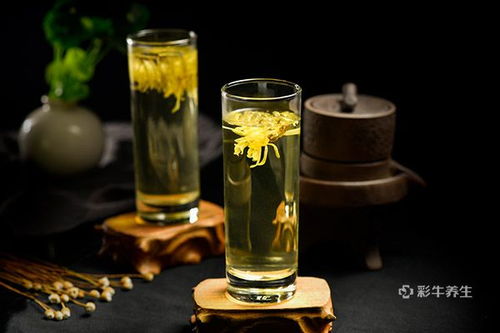 经常喝菊花茶，养生效果怎么样