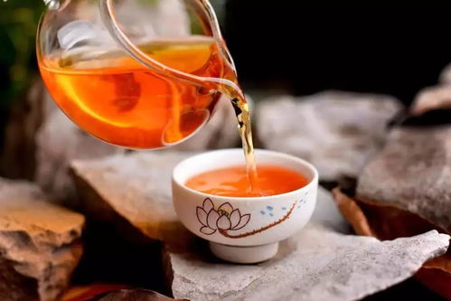 揭秘山茶油的神奇功效，解锁茶叶养生新境界！