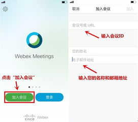 如何有效防控净化猪肺炎支原体？
