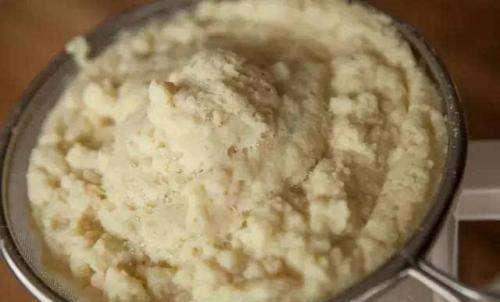 未发酵的芝麻饼肥浇月季，叶子焦得像“油炸青菜”