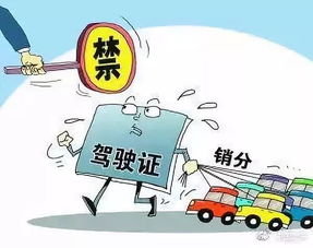 合法vs违法分界线