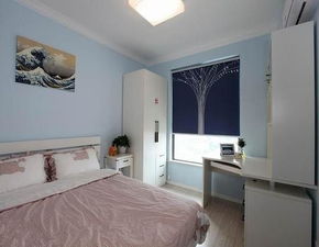 常春藤卧室佳品，美室净气两相宜！