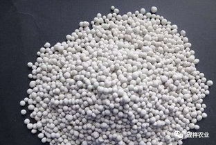 有机肥与无机肥的配合