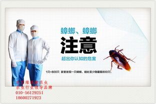 2. 再来聊聊“YY牌”， 好像也有人用