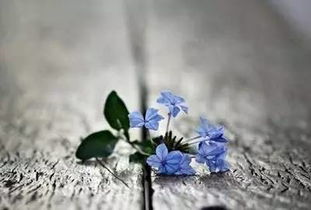 一、 选购是养护的第一步