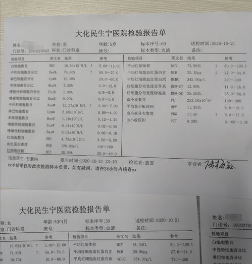 猪丹毒病例，病原体是什么