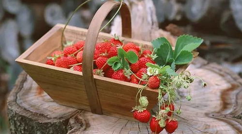 草莓农药残留，真的让人担心吗？