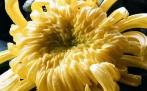 菊花很痛怎么办？是炎症还是其他原因