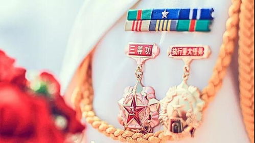 老兵荣誉月季：一朵绽放的敬意