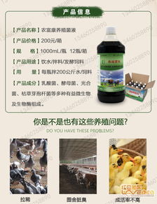 发酵液喂猪有哪些显著营养和健康益处？