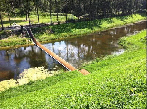 桥梁绿化的误区与纠正