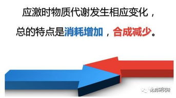 热应激危害家禽健康，科学管理可缓解