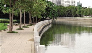 河边种植的技巧