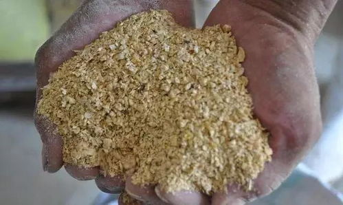 豆粕和菜籽饼哪个更肥，哪种更适合喂牛？