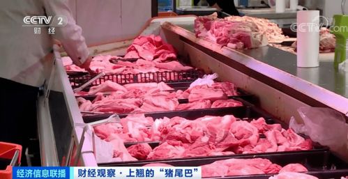 今日山东汶上县北市场猪肉价格是多少一斤？