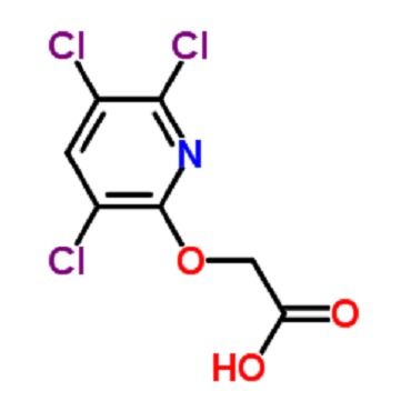 三氯吡氧乙酸：一棵树的生命威胁