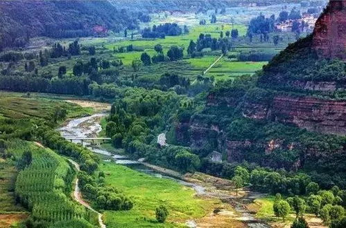 美丽乡村建设：树木是地域文化的彰显