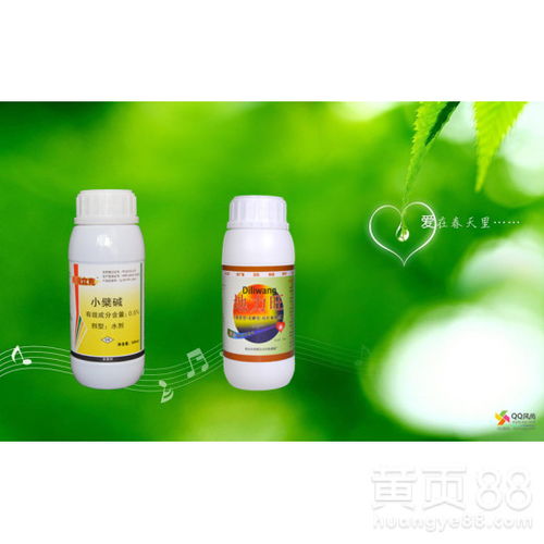 水稻黄叶病用什么药物治疗效果最好