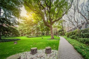 数字世界中的美学巅峰