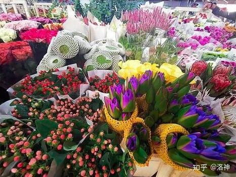 斗南花市批发鲜花，如何挑选高品质花材