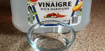 白醋泡树叶，透明效果靠谱吗？