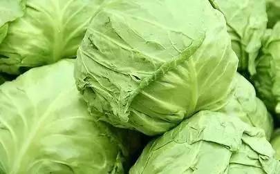 卷心菜、 白菜等，需多加留意