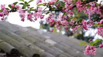 别信鬼话，货比三家