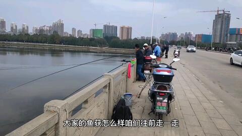 鱼塘水蛛问题多多， 烦恼不Yi