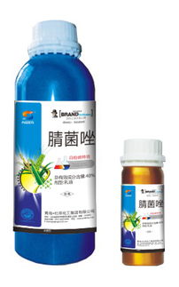 梨树黑星病，山东绿霸来帮忙