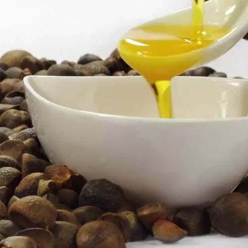 产妇饮食新选择：茶油vs橄榄油，哪个更适合您？