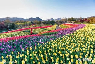 花园艺术展示区及各专类园区兼具生物多样性保护、科普教育、科学研究和植物观赏的功嫩，是开展科普活动的重要场所。 │大连英歌石植物园园区地图│ │大连英歌石植物园芝樱园│ │大连英歌石植物园郁金香园│ │大连英歌石植物园桃花园│ │大连英歌石植物园中央草坪花卉广场│ 开园这么多年， 英歌石植物园逐渐成为大连城市引人注目的旅游名片，美誉度高，曝光度也高，被大连市民成为大连的后花