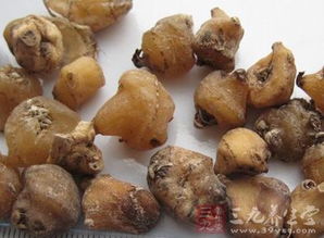 马勃：一种药用真菌