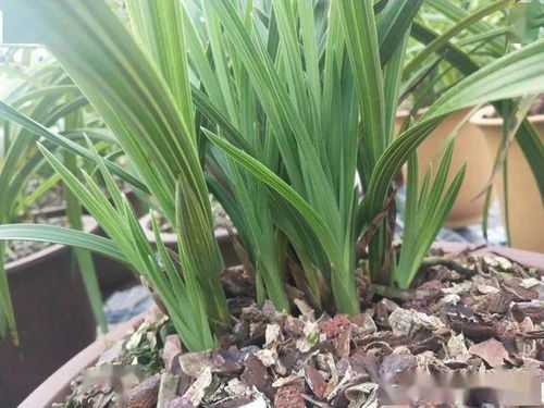 晾晒通风， 促进愈合