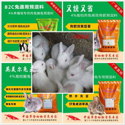 肉兔预混料的设计是否考虑了不同生长阶段营养需求，如何确保其科学配比？