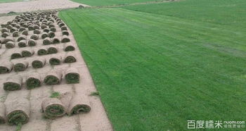 先说装载量，这可是关键