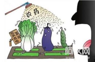 探寻乐山市农药执法队电话：一场与自然的对话