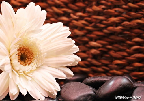 品种选择，生死攸关！