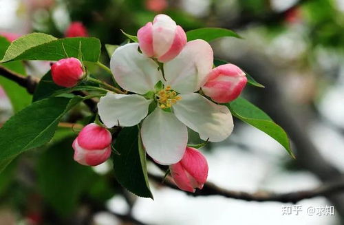 栽心，这是个啥操作？