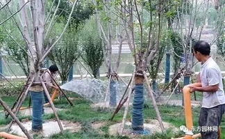 五、不同土壤条件的灌溉