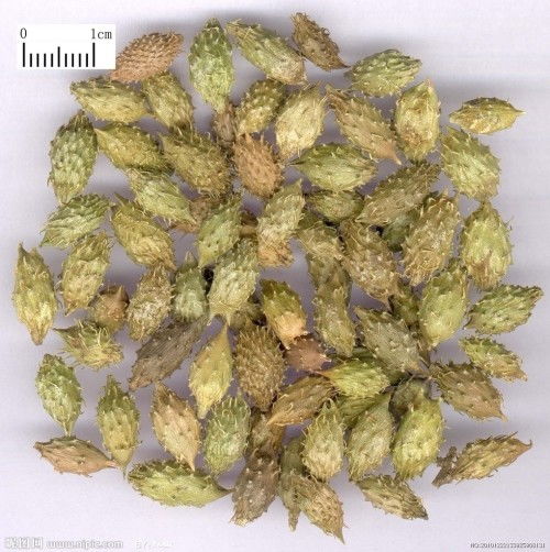 电子显微镜下的秘密