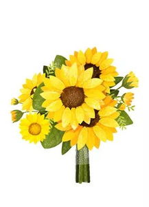 蓝色，平静的海