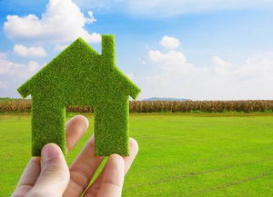 12月种菜，靠谱吗？