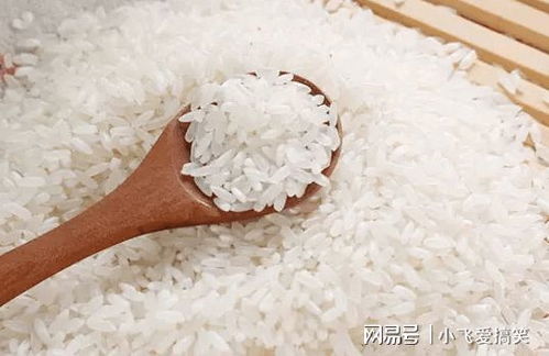大米富含营养，可提供能量