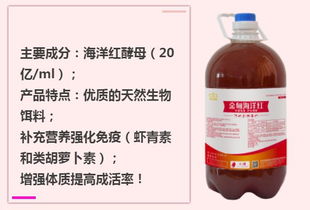 蒸锅消毒，懒人福音